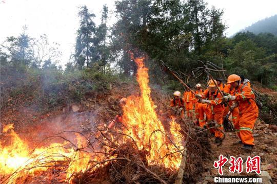 广东进入丛林防火特殊期失职者将追责