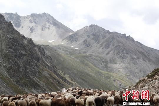 新疆伊犁牧民开始秋季转场