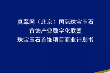 深圳市中金普华编制-互联网+项目商业计划书