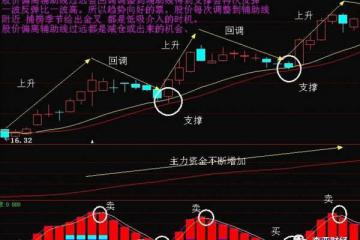 得利斯：电子商务第一龙头，温州帮78亿抢筹，必涨